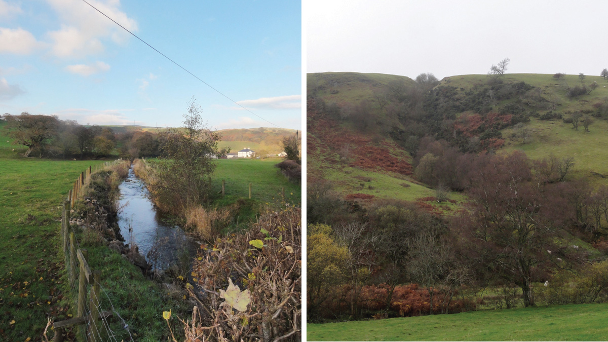 (left) Riparian tree planting/grass buffer strip and (right) Gully planting - Courtesy of AECOM