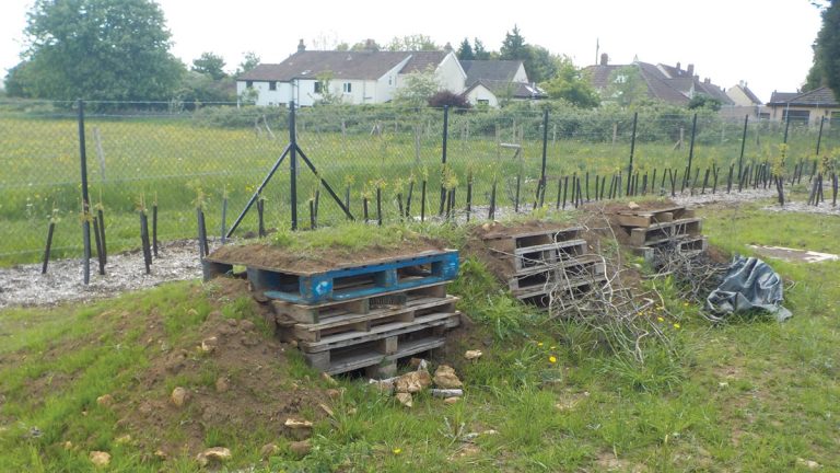 Bug hotels constructed using recycled pallets - Courtesy of Bristol Water