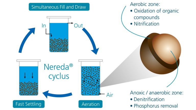 Nereda® Process Cycle - Courtesy of Royal HaskoningDHV