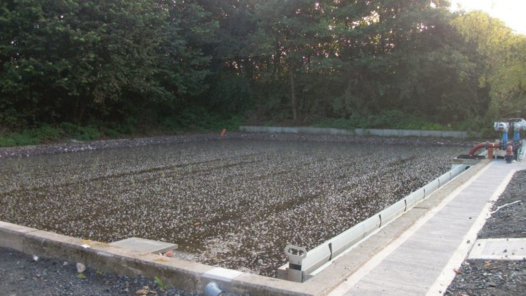 Recently commissioned aerated reed bed - Courtesy of Mott MacDonald Bentley Ltd