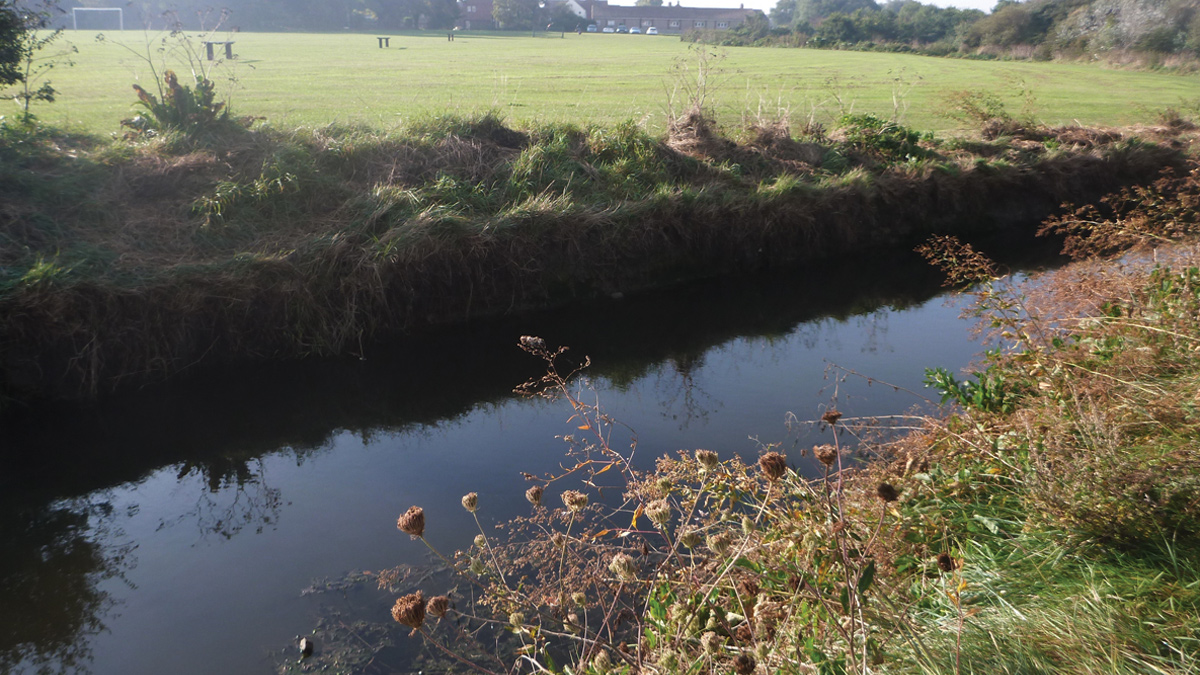 The brook habitat both in channel and surrounding terrestrial habitat at Swalecliffe - Courtesy of Mott MacDonald