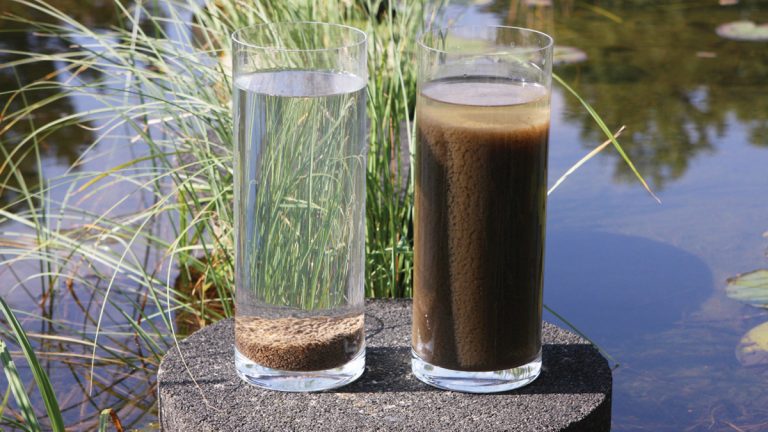 Comparative settling properties of Nereda® granular biomass (left) and activated sludge (right) - Courtesy of Royal HaskoningDHV