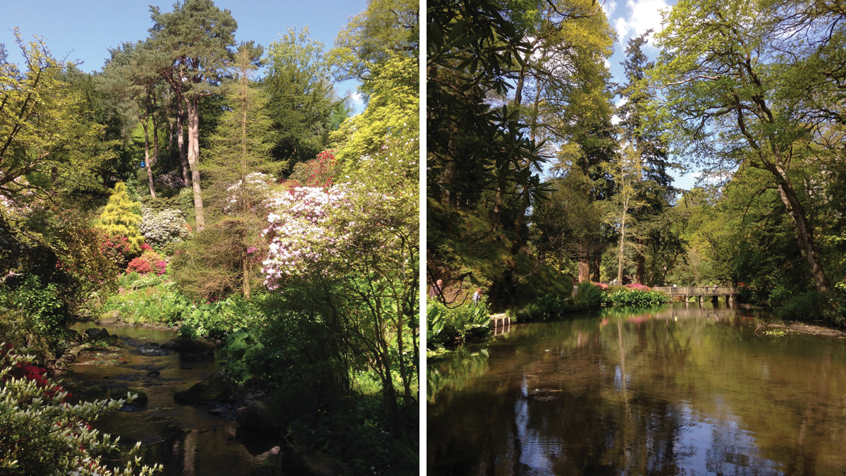 (left) Bodnant Garden and (right) looking down the Afon Hiraethlyn towards the Waterfall Bridge. Large quantities of gravel are deposited in the slow-moving river channel upstream of the ornamental cascade - Courtesy of Waterco Consultants