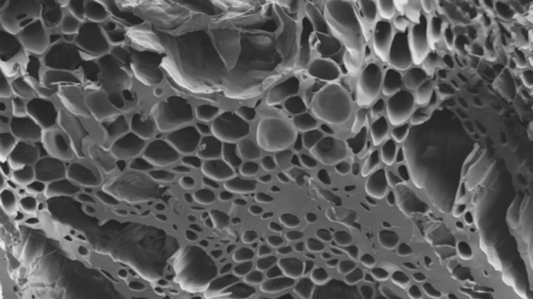 Electron microscope image of pores within activated carbon - Courtesy of Severn Trent Water