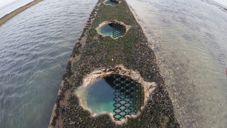 Artificial rock pools placed on top or sides of concrete groynes - Courtesy of Mott MacDonald/Southern Water