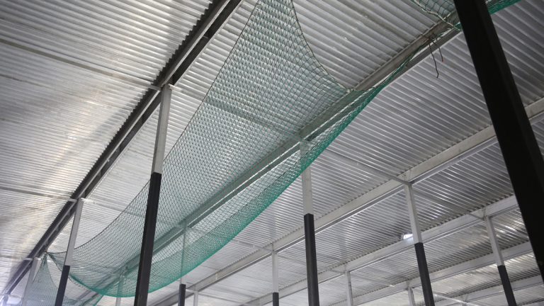 A separate team erected scaffolding and fixed safety netting to the roof, providing safe internal access to the vents - Courtesy of Stonbury