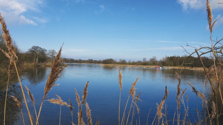 The Trinity Broads environment - Courtesy of Stantec