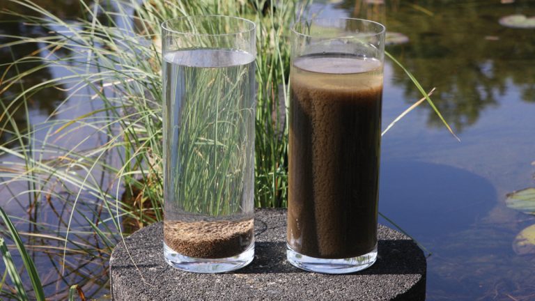 Settling properties of the aerobic granular biomass (left) compared to activated sludge (right) - Courtesy of Royal HaskoningDHV