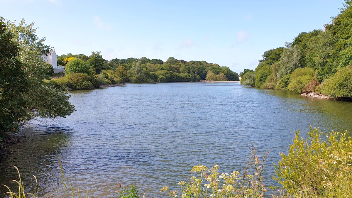 Grands Vaux Reservoir - Courtesy of Jersey Water