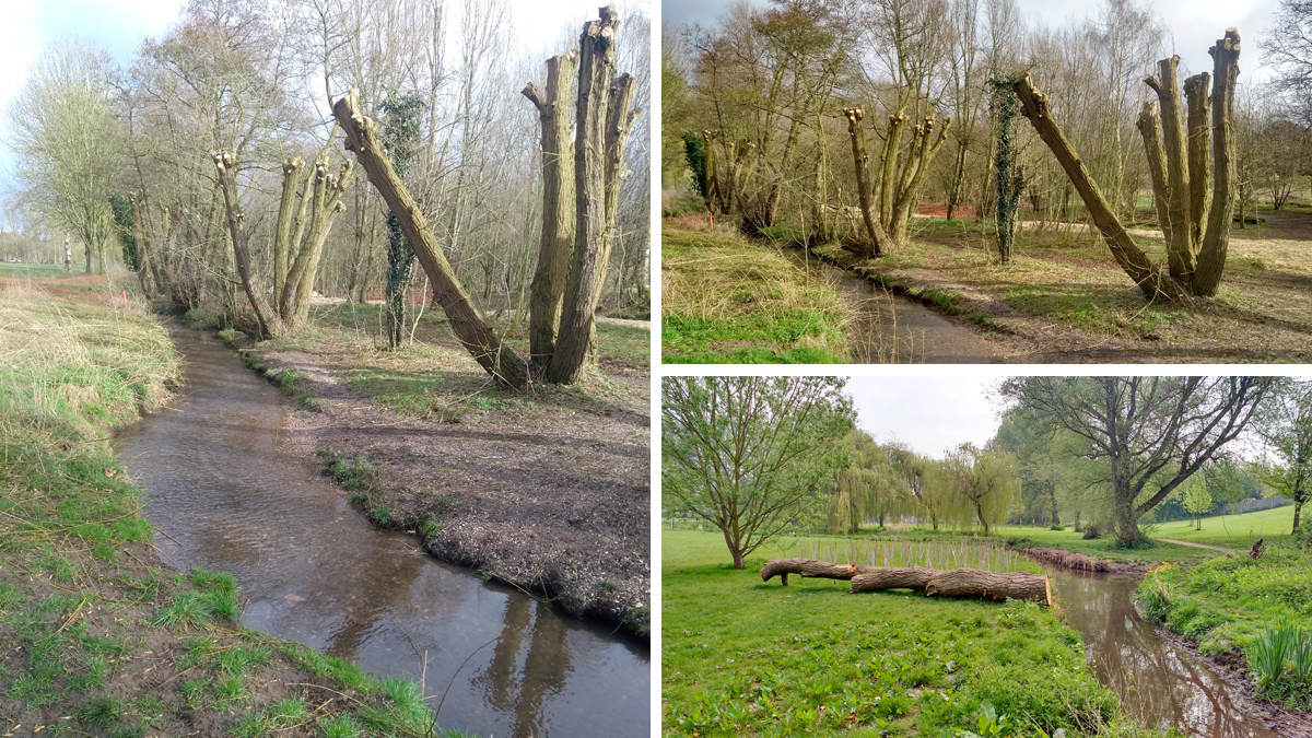 Felled tree trunk and planting to divert desire lines away from the brook edges - Courtesy of Galliford Try