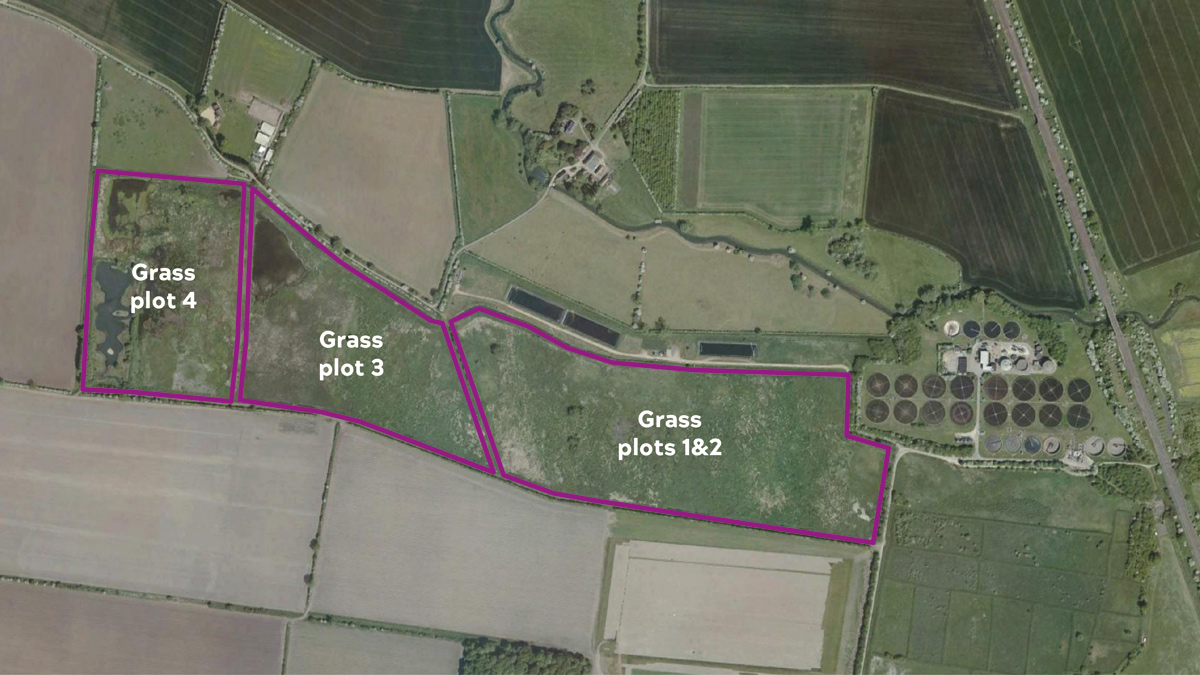 Google Maps image showing the grass plots - Courtesy of Anglian Water @one Alliance