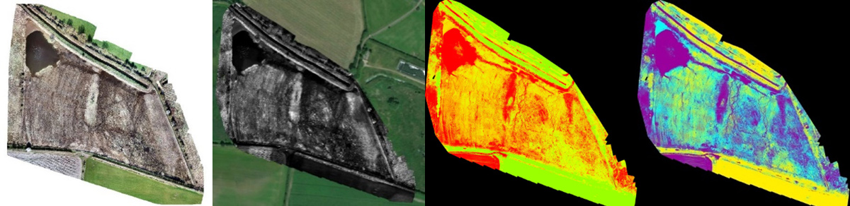 Digital surveys: (left to right) visual RGB, red band orthomosaic, NDVI plant health and red band saturation - Courtesy of iRed