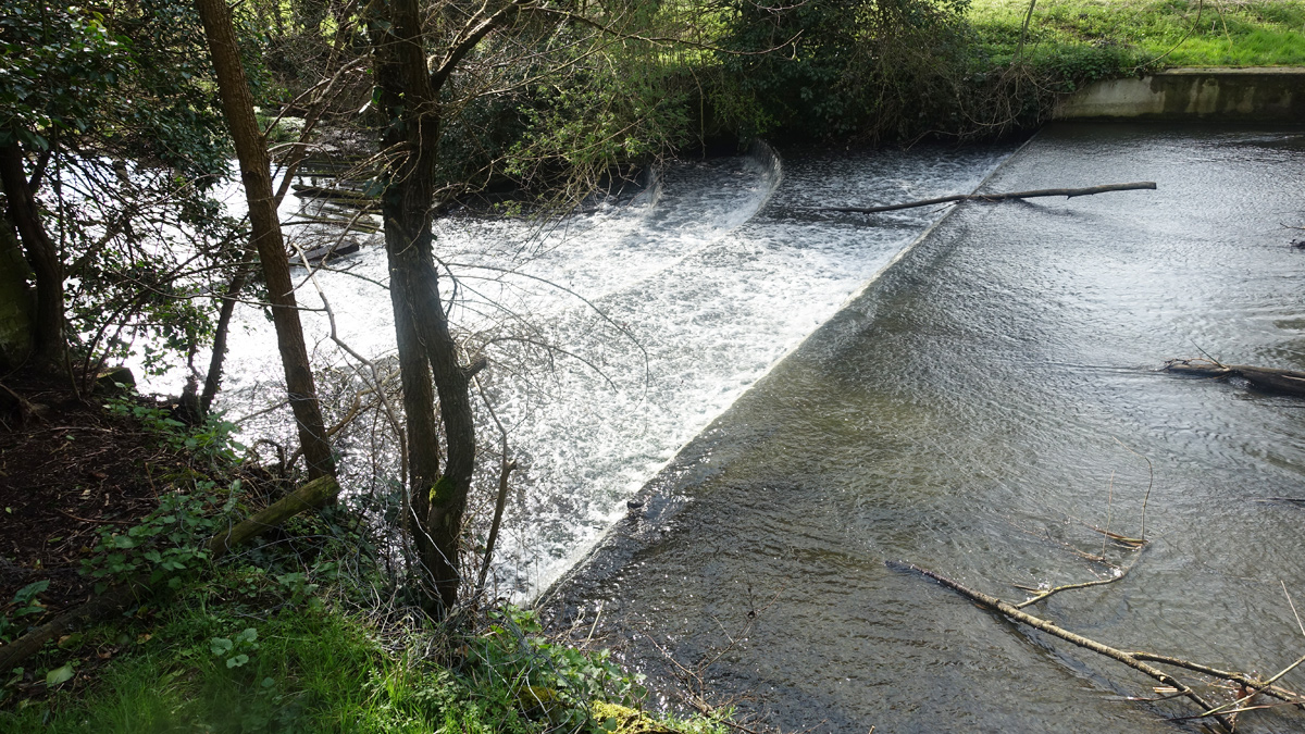 Figure 2: Horseshoe Weir (2016) - Courtesy of Affinity Water