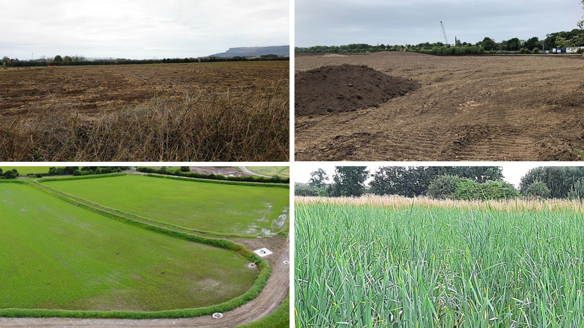 (top left) The wetland cells were previously used for agricultural use, (top right) bulldozers were used to remove topsoil to stockpile to lower levels to formation and push back over cells, (bottom left) finished cells with berms and (bottom right), July/Aug 2021 vegetation growth during 28-day process trial - Courtesy of BSG Civil Engineering