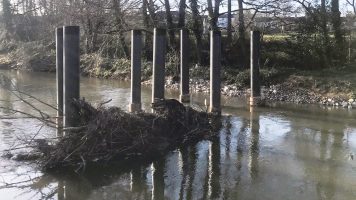 Ely Bridge Tree Catcher (2022)