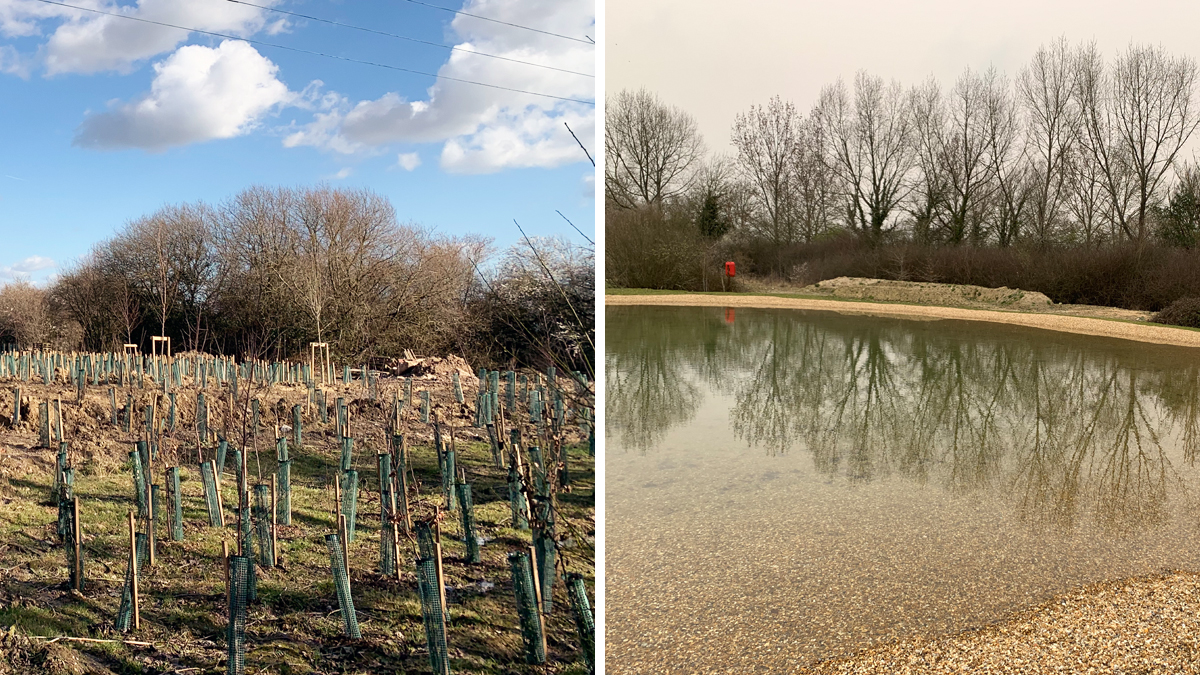 (left) After backfilling, Lagoon 1 was planted with native woodland tree species and a swathe of wildflowers and (right) a great crested newt pond was establishd with marginal aquatic planting - Courtesy of CMDP JV
