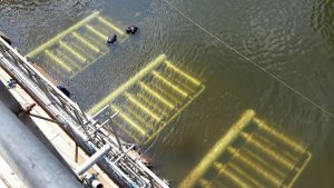 Hampton Loade eel screen arrays in the River Severn - Courtesy of Integrated Water Services (M&E) Ltd