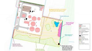 Biodiversity Enhancement Plan - Courtesy of Penny Anderson Associates Ltd