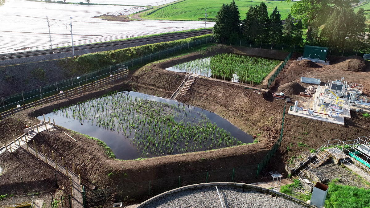 Integrated wetland after planting: March 2022 - Courtesy of Advance-plus