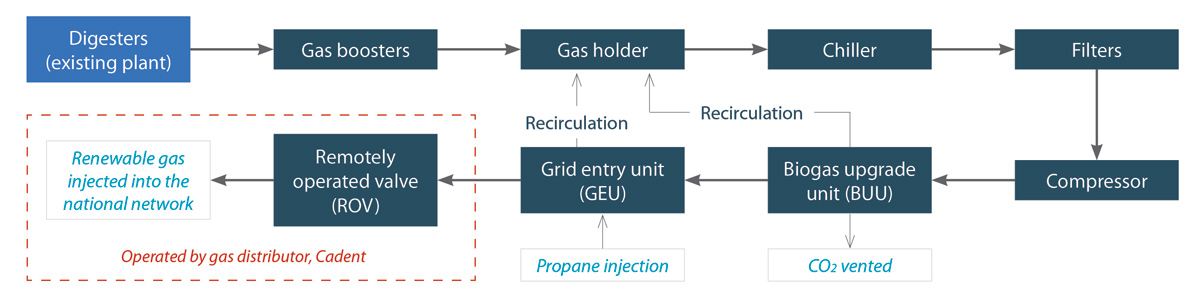 Gas to grid process diagram - Courtesy of Costain