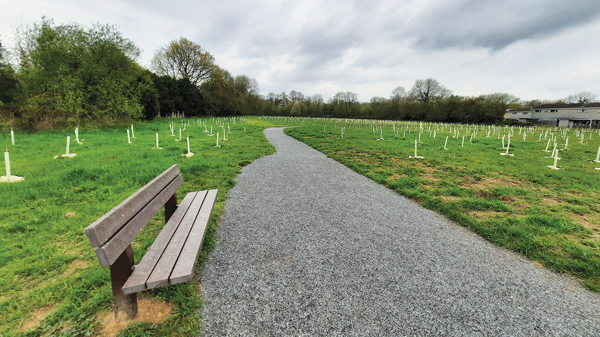 Llandybie community woodland project - Courtesy of NRW