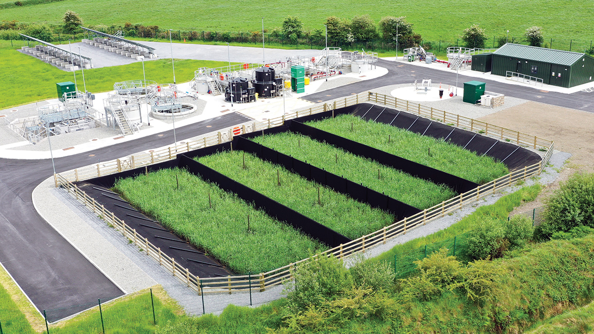 Sludge drying reed beds to process wastewater sludge naturally - Courtesy of Glanua