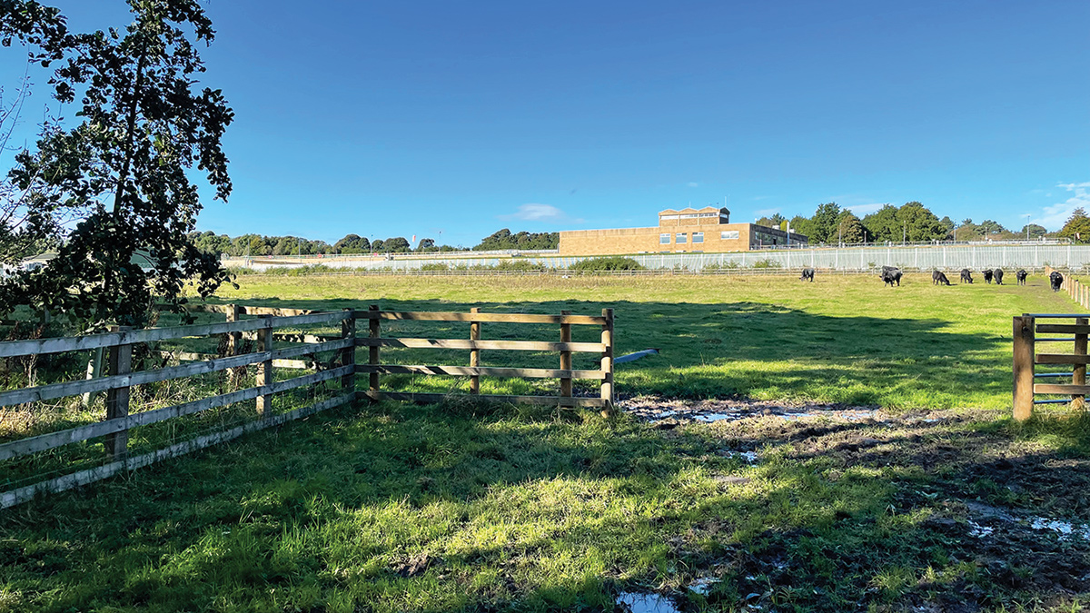 Field where the lagoon will be sited - Courtesy of Mott MacDonald Bentley