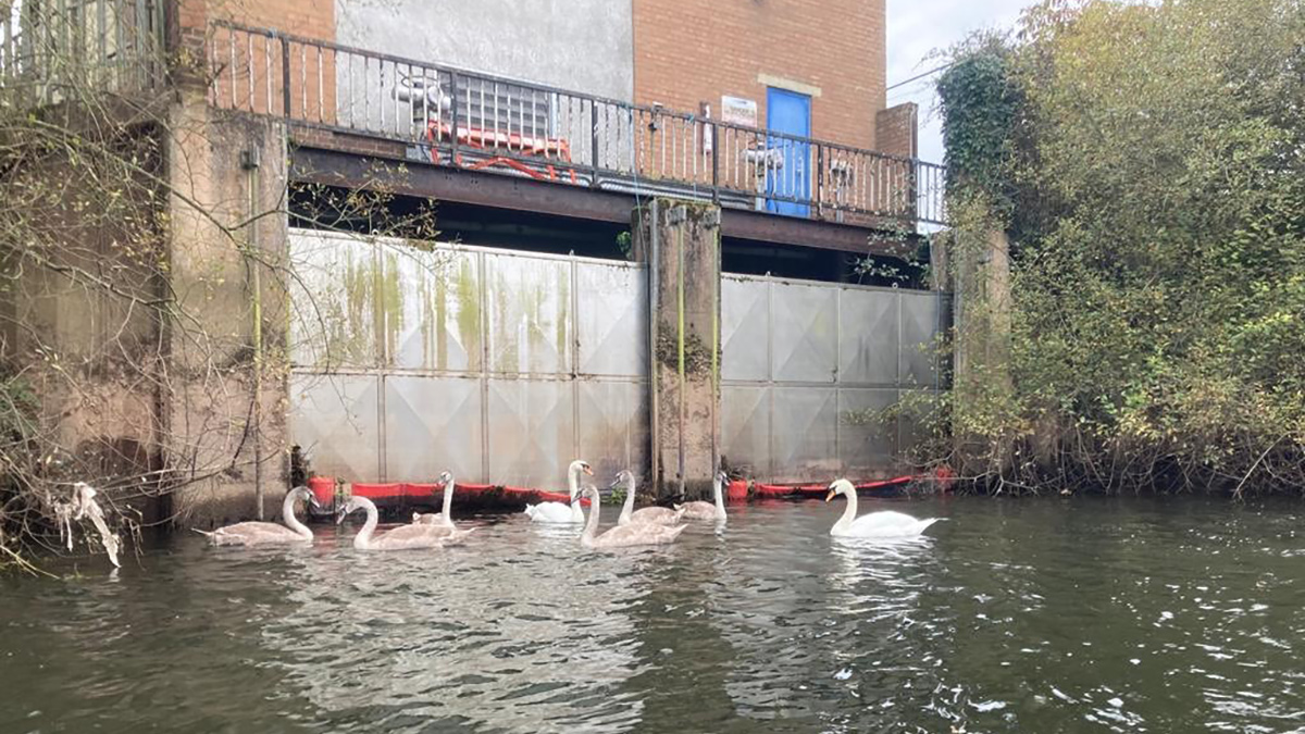 Existing intake structure (external screens at and below river level behind the debris boom with the access platform above) - Courtesy of South West Water & Fishtek ltd