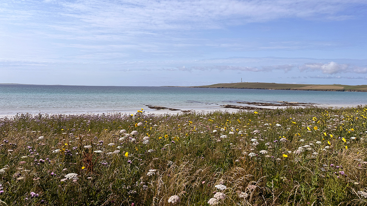 View across Backaskaill Bay from the remediated sludge storage area - Courtesy of Morrison Construction