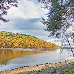 Tunstall Reservoir - Courtesy of Esh-Stantec