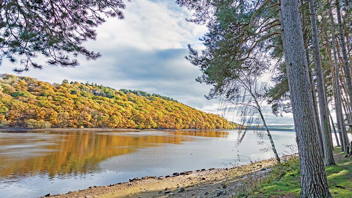 Tunstall Reservoir - Courtesy of Esh-Stantec