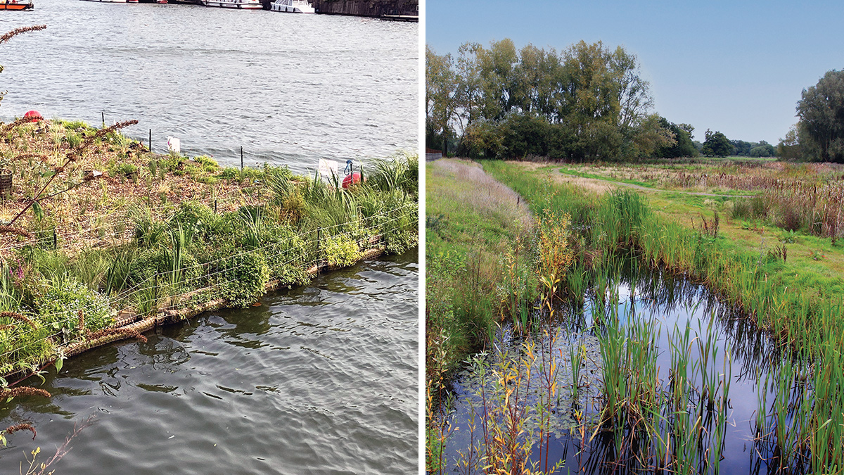 (left) Example of a floating treatment wetland - Courtesy of Biomatrix Water and (right) example of a swale - Courtesy of Mott MacDonald (David Naismith)