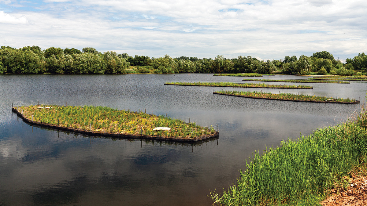 Floating wetlands (2023) - Courtesy of Matthew Nichol Photography