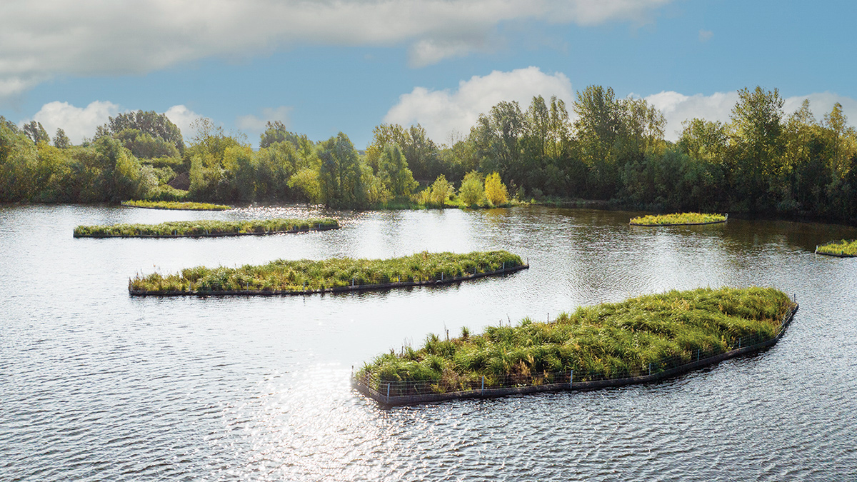 Installed wetlands - Courtesy of Sky Revolution