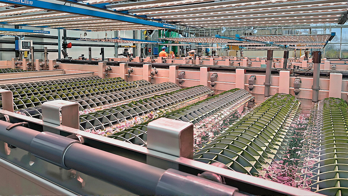 First-of-its-kind algae-based photo bioreactor system installation at Bolnhurst WRC - Courtesy of @one Alliance