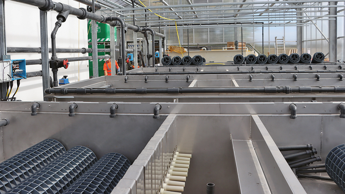 Photo-bioreactor tanks installation phase - Courtesy of @one Alliance