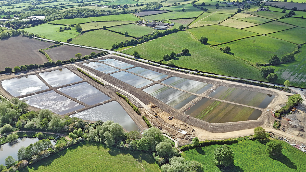 Planting completed in all the cells - Courtesy of MMB