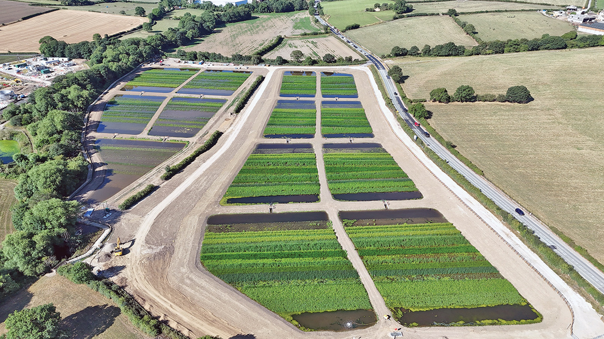 Fully planted wetland - Courtesy of MMB