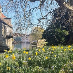 Darwin College on the banks of the River Cam - Courtesy of Mott MacDonald