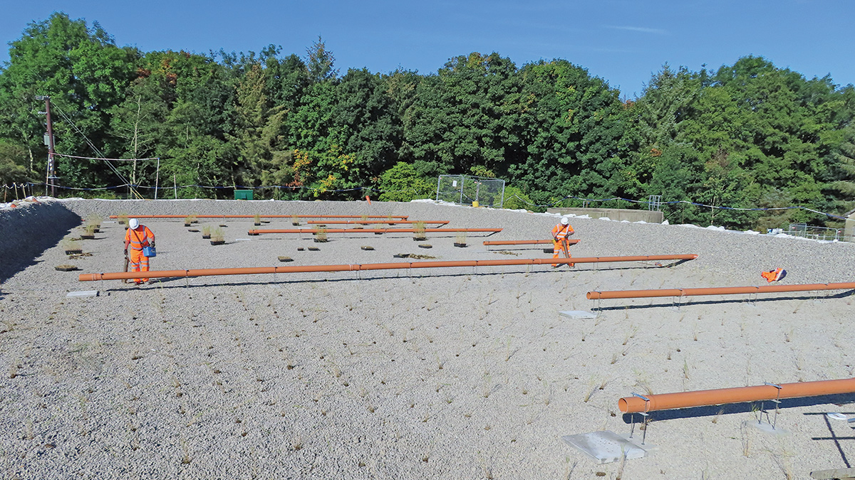 Planting underway in the aerated reed bed (September 2024) - Courtesy of MMB