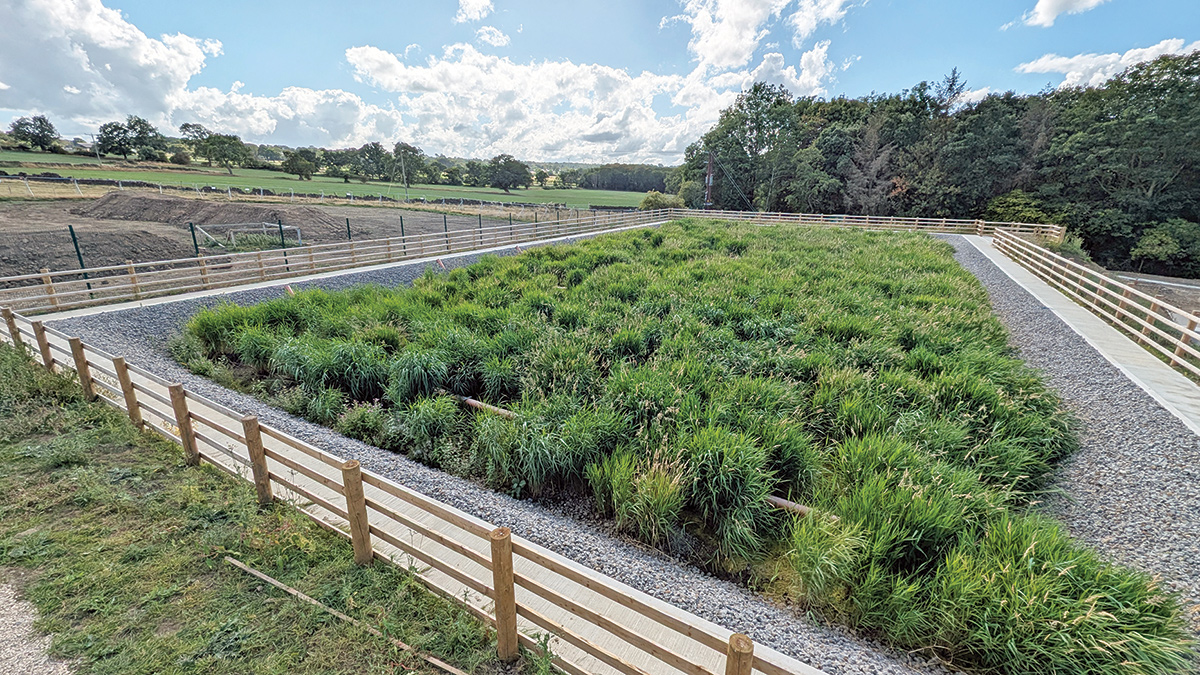 New aerated reed bed in service (August 2025) - Courtesy of MMB