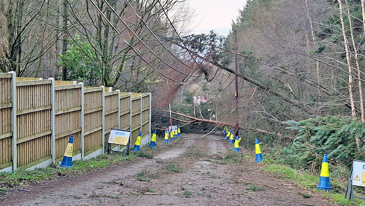 Downed trees and powerlines blocking site access during high winds - Courtesy of Coffey