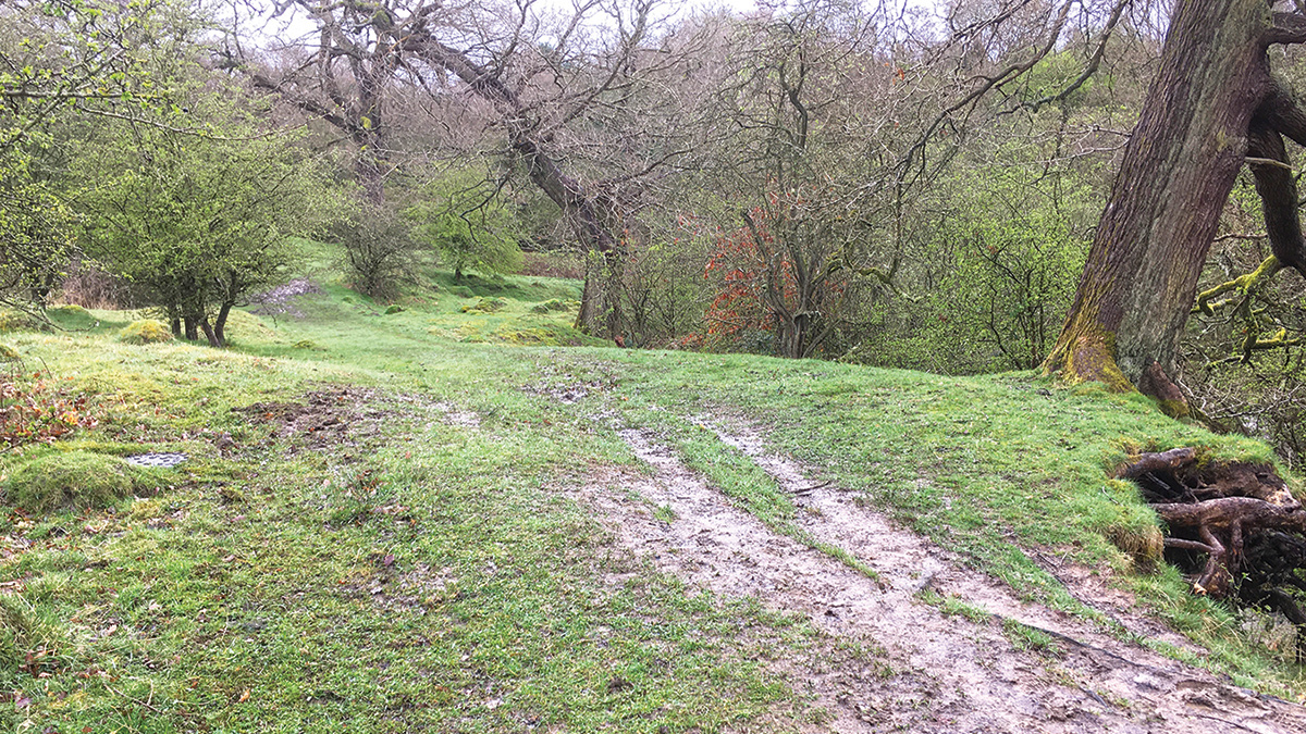 Auger boring trenchless technology was used to avoid disruption to the areas of ancient woodland - Courtesy of ESH-Stantec