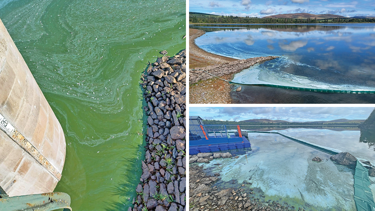 Algae in Lintrathen Loch (summer 2025) - Courtesy of Scottish Water