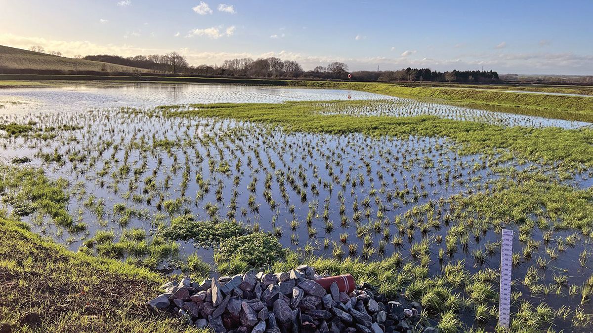 Everton Integrated Constructed Treatment Wetland - Courtesy of Vesi Environmental