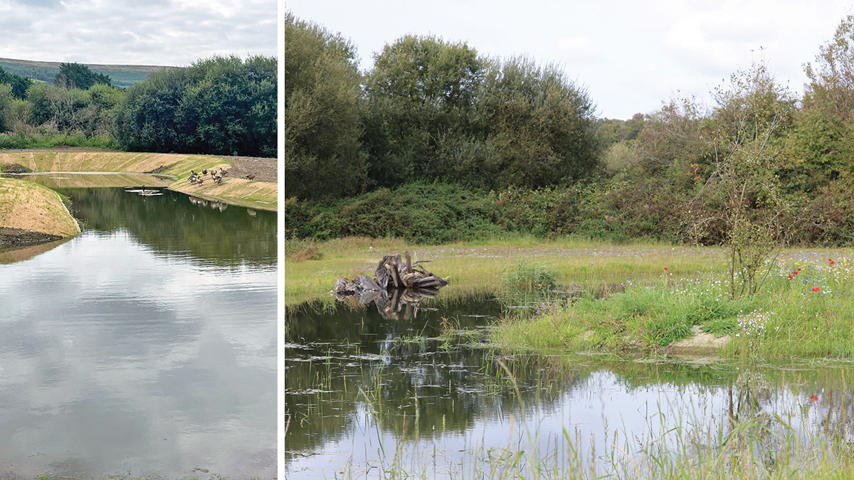 New ecological pond: (left) following completion and (right) in Spring 2026 - Courtesy of Mott MacDonald Bentley
