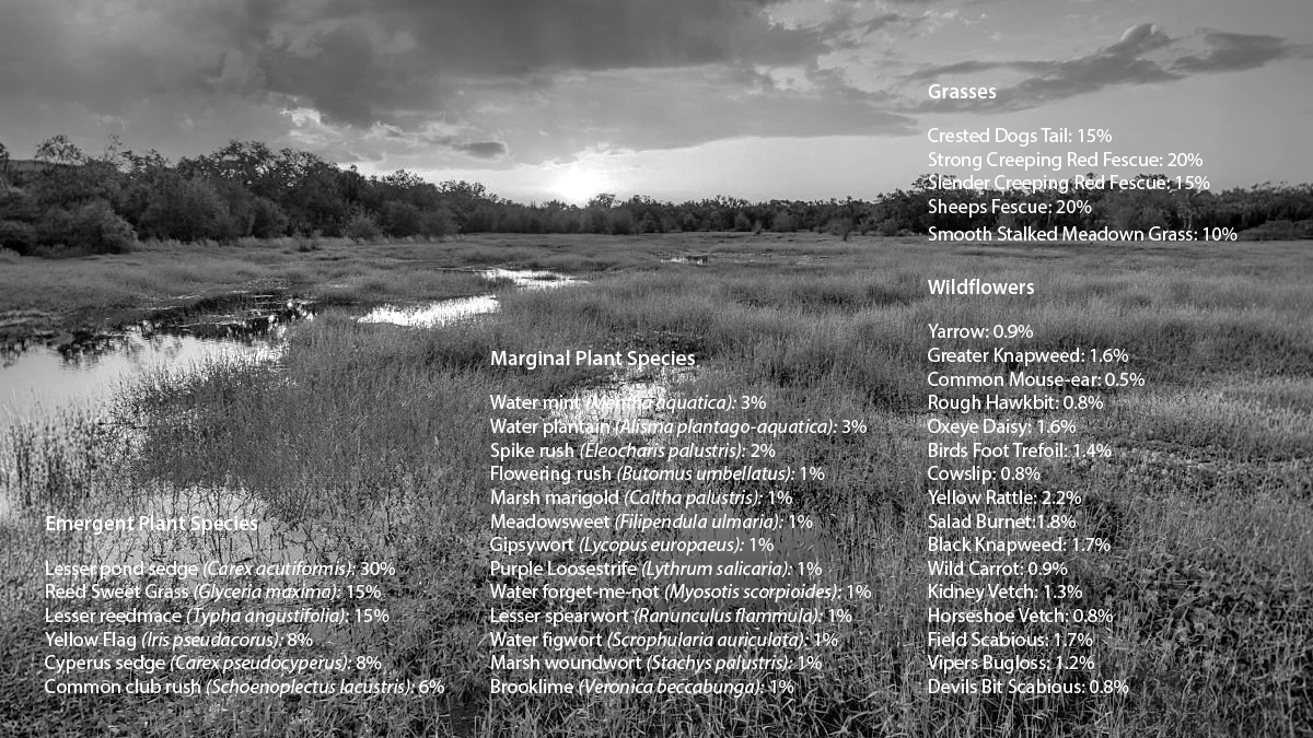 Plantings for the Hinckley Wetland - Courtesy of MWH Treatment