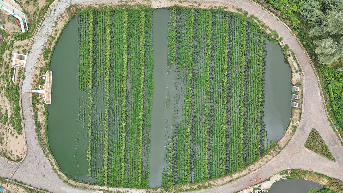 Drone image of one of the four wetland cells - Courtesy of Salix River & Wetland Services Ltd