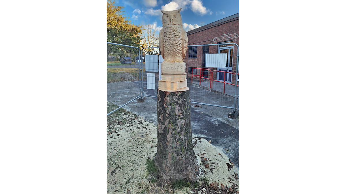 Ornamental tree carving of an owl - Courtesy of Esh Stantec