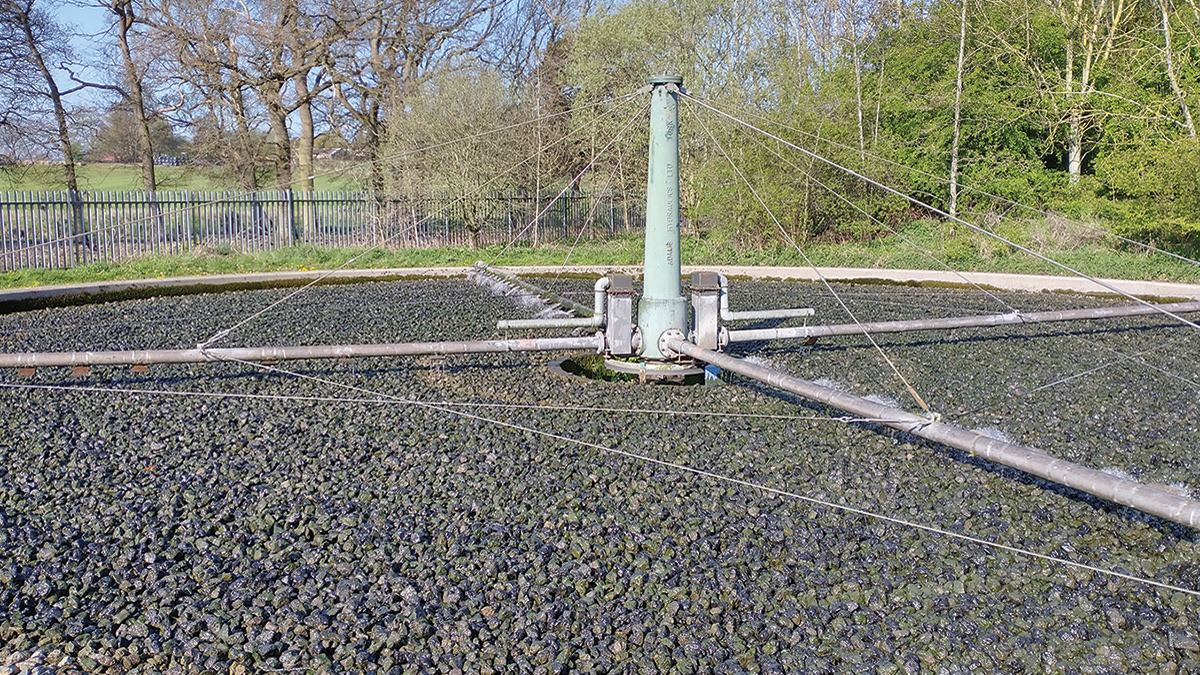Existing biological filter beds - Courtesy of MMB